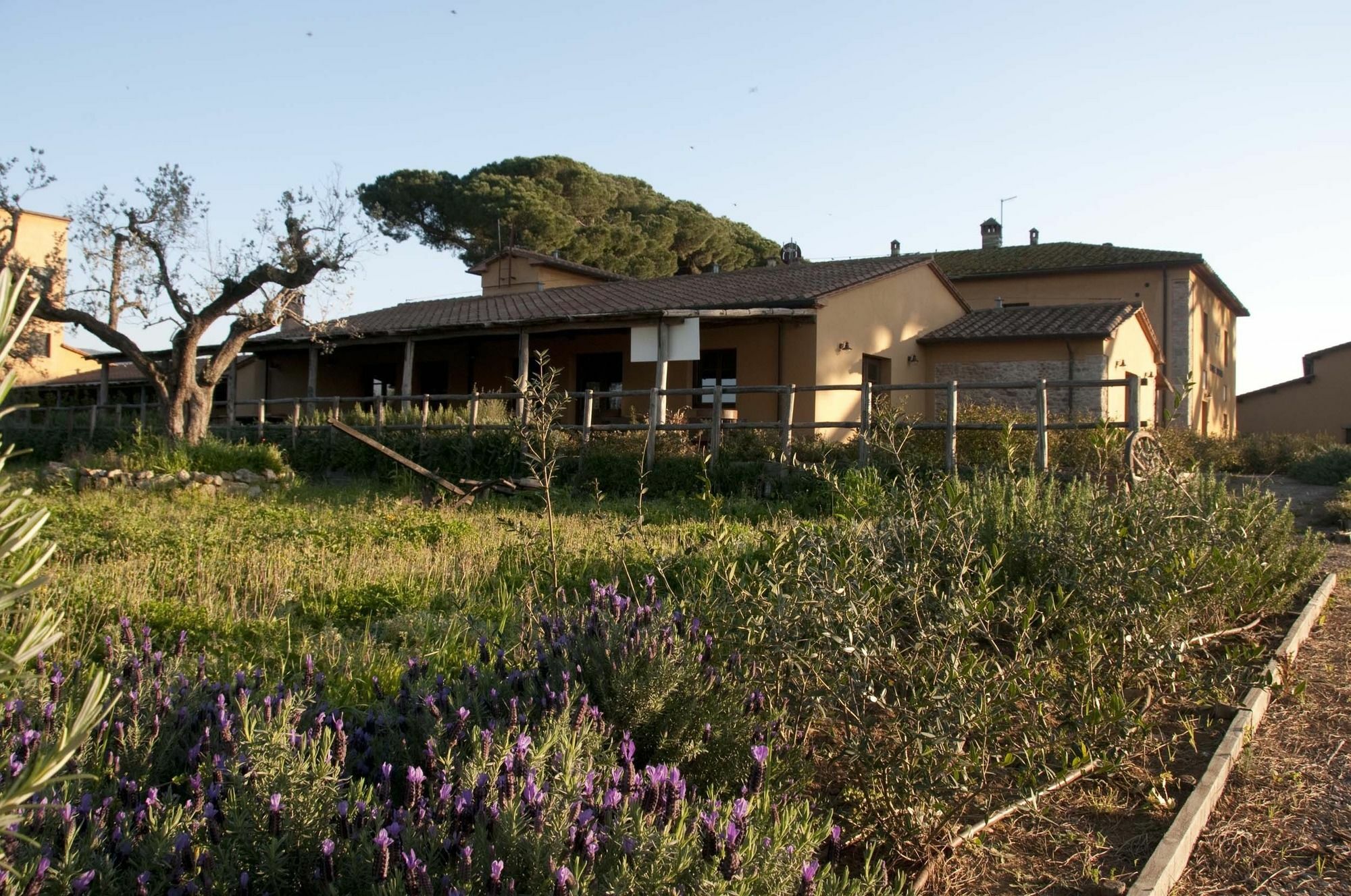 Gasthaus Casone Ugolino Donoratico Exterior foto