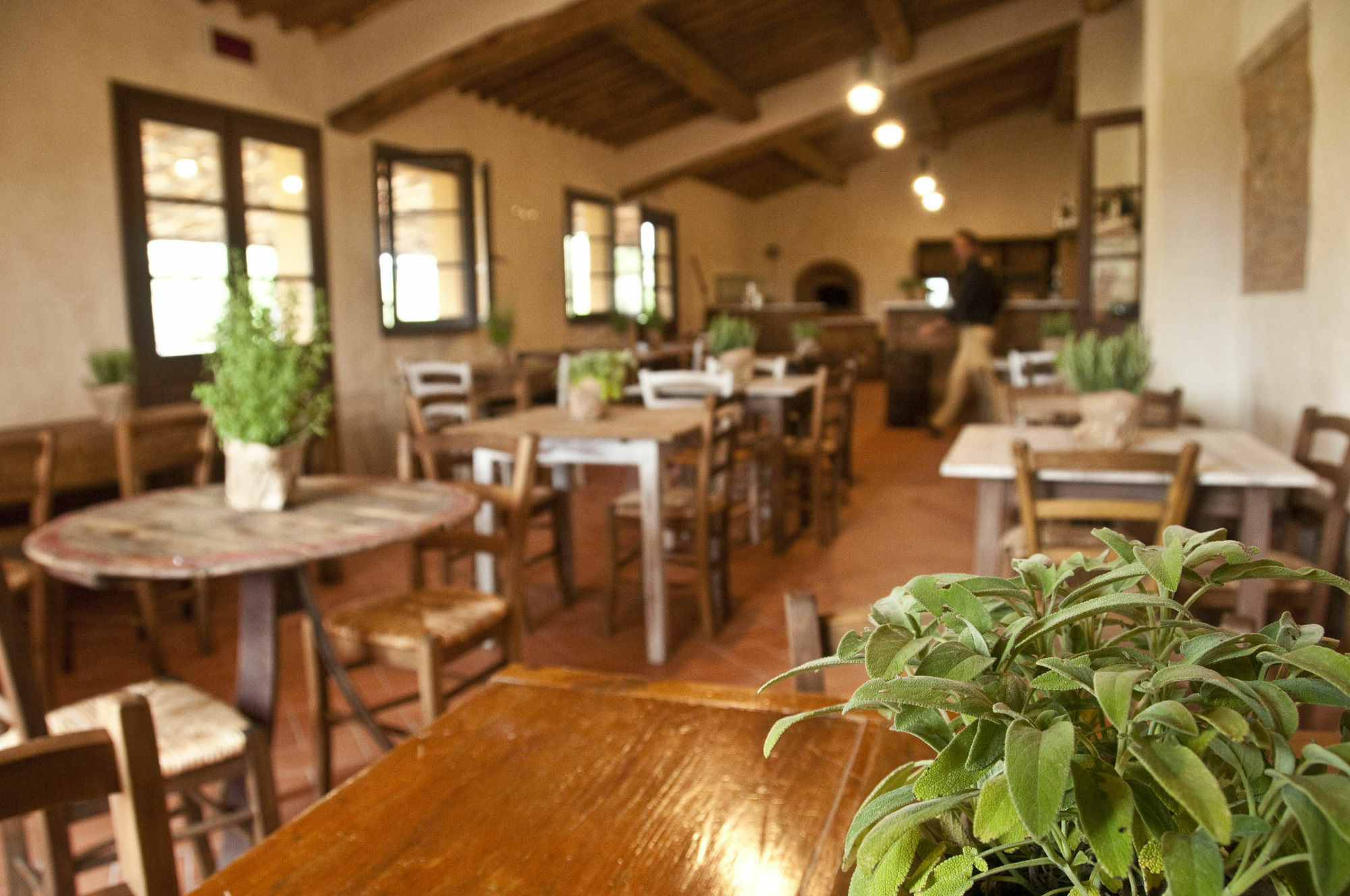 Gasthaus Casone Ugolino Donoratico Exterior foto